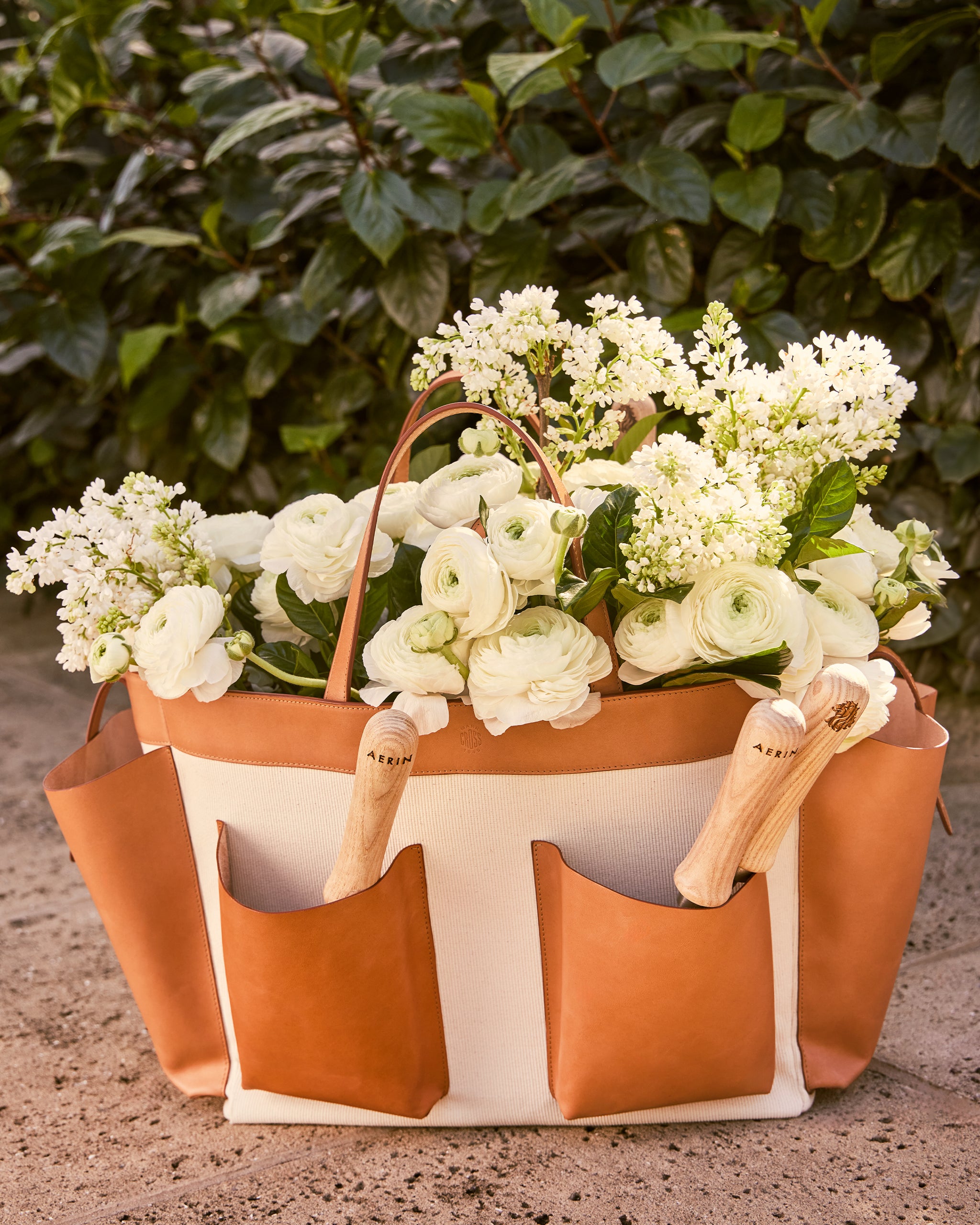 Mark Cross for AERIN