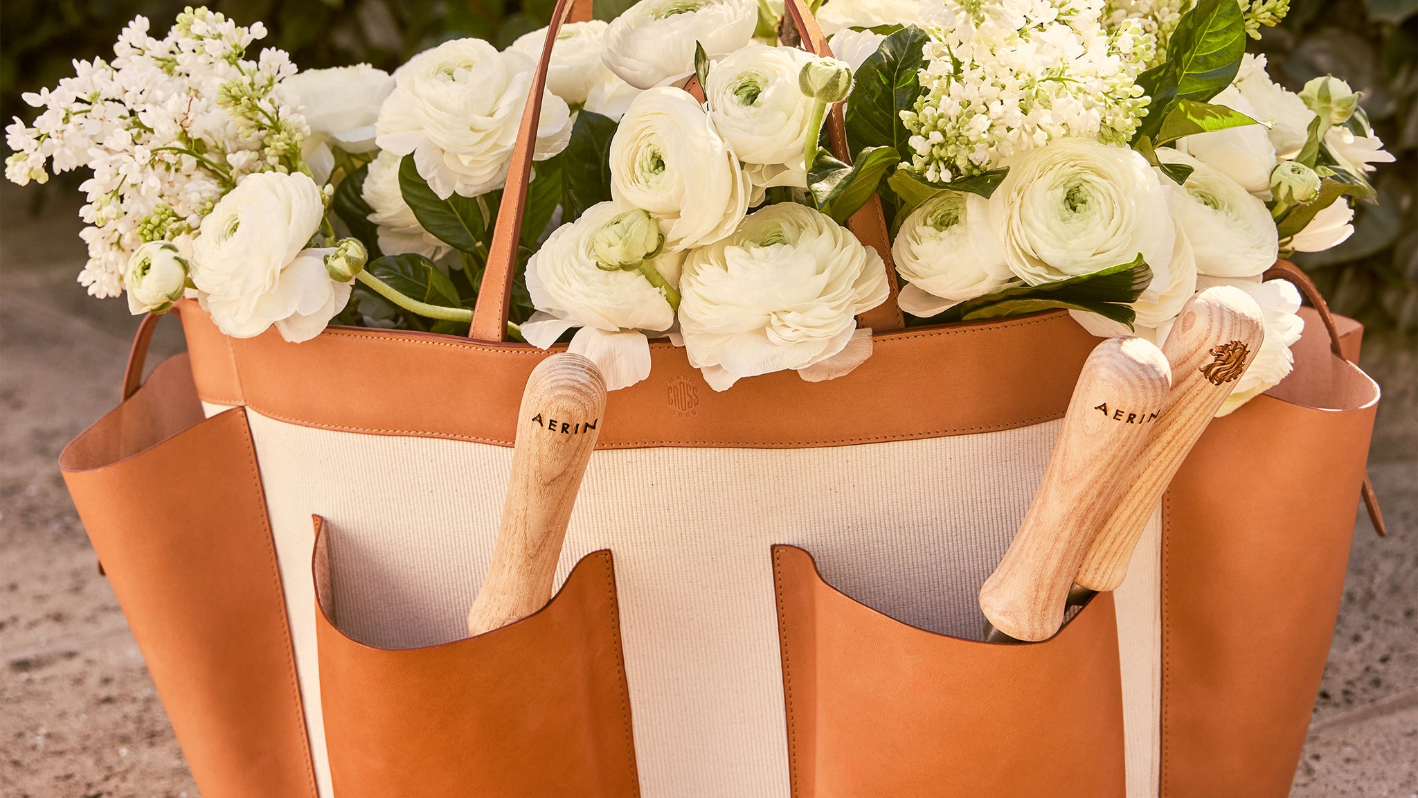 Mark Cross for AERIN