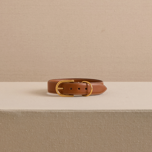 Pet Collar 30 in Luggage