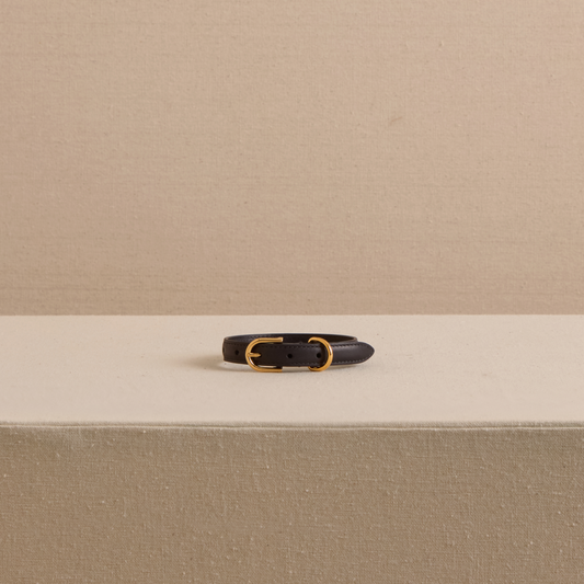 Pet Collar 15 in Black