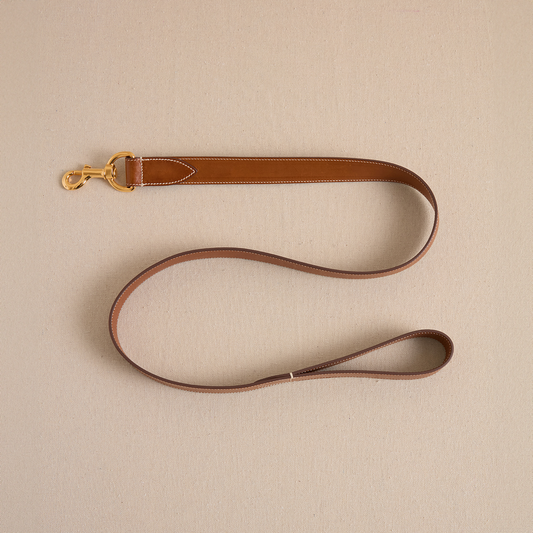 Pet Leash 30 in Luggage