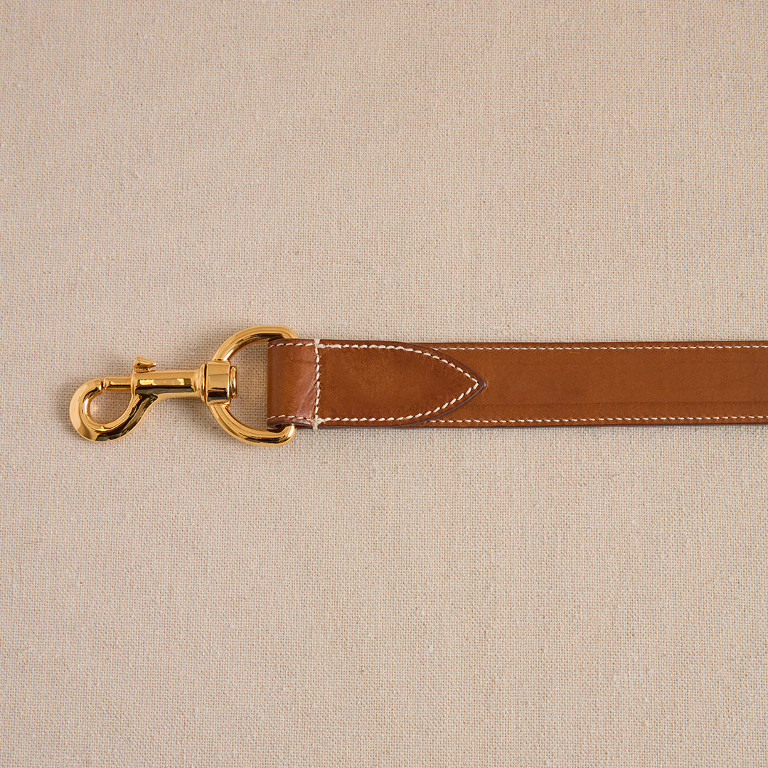 Pet Leash 30 in Luggage