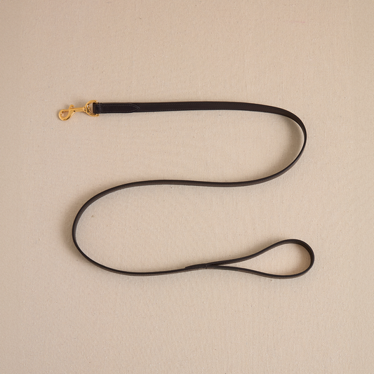 Pet Leash 15 in Black