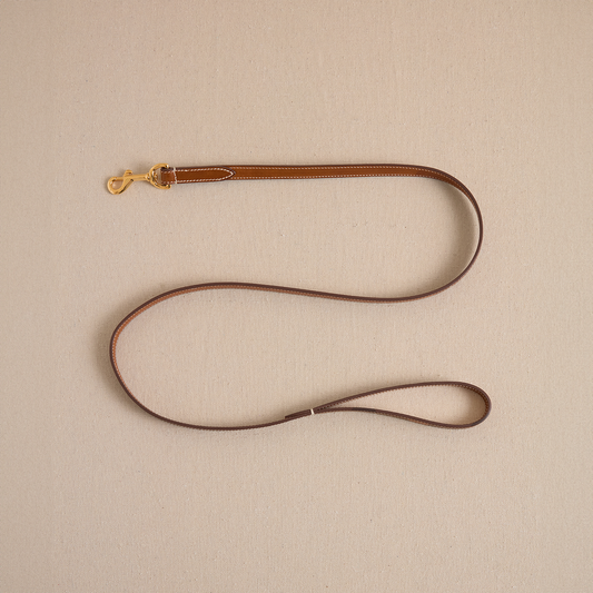 Pet Leash 15 in Luggage