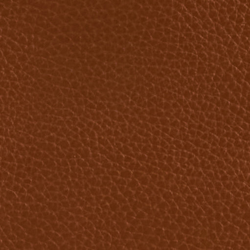 Harry Washbag in Acorn