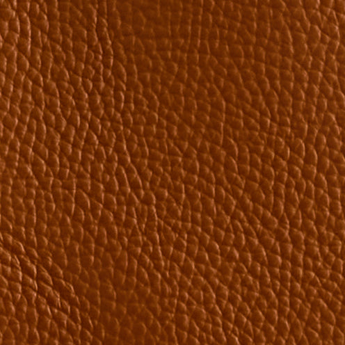 E55 in Acorn