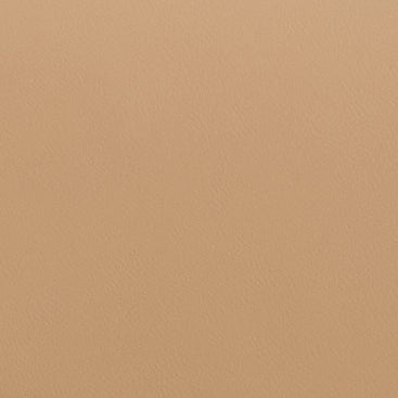 Romy Clutch in Natural