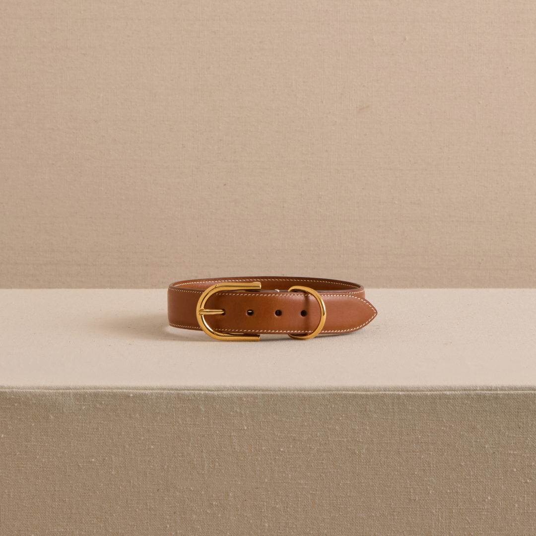 Pet Collar 30 in Luggage