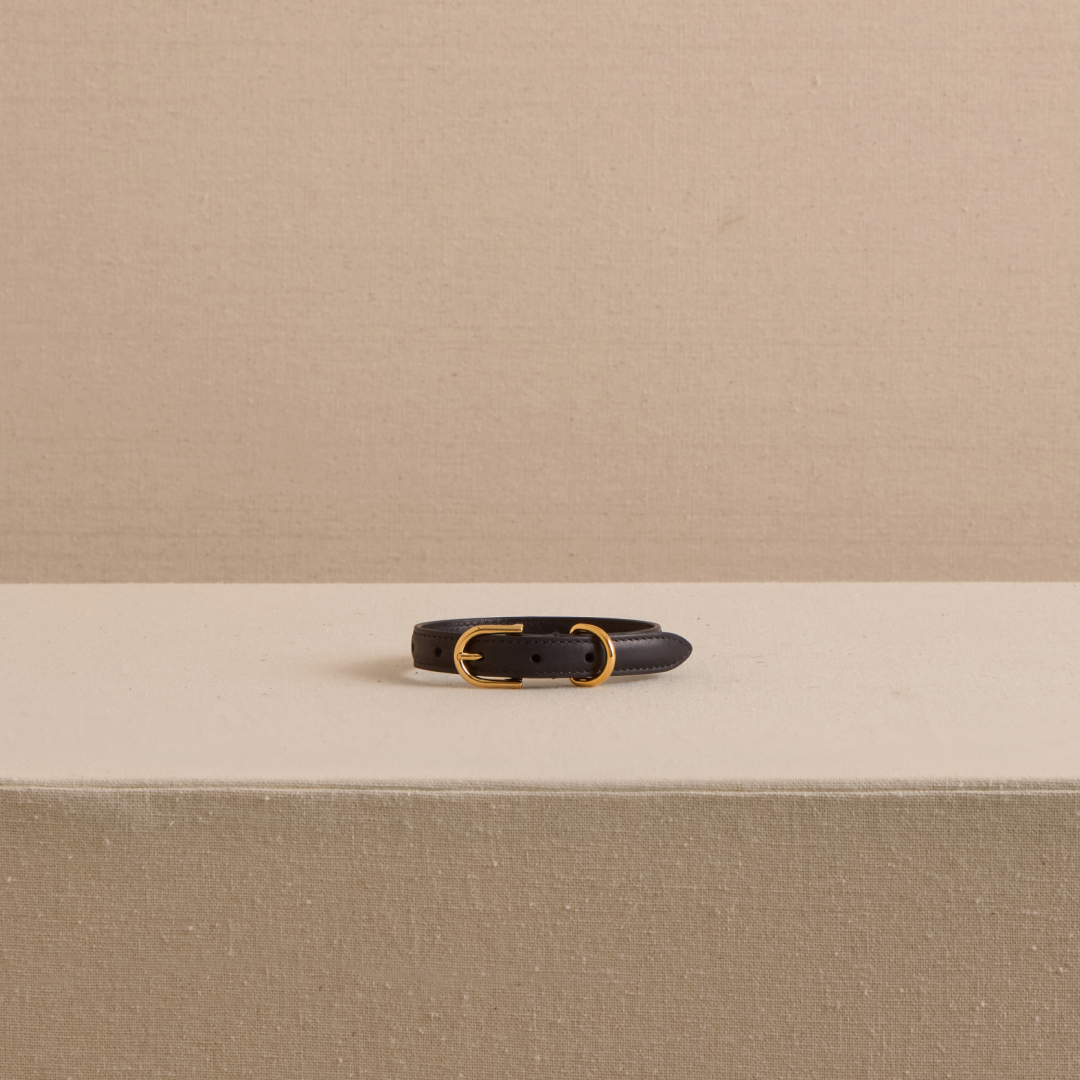 Pet Collar 15 in Black