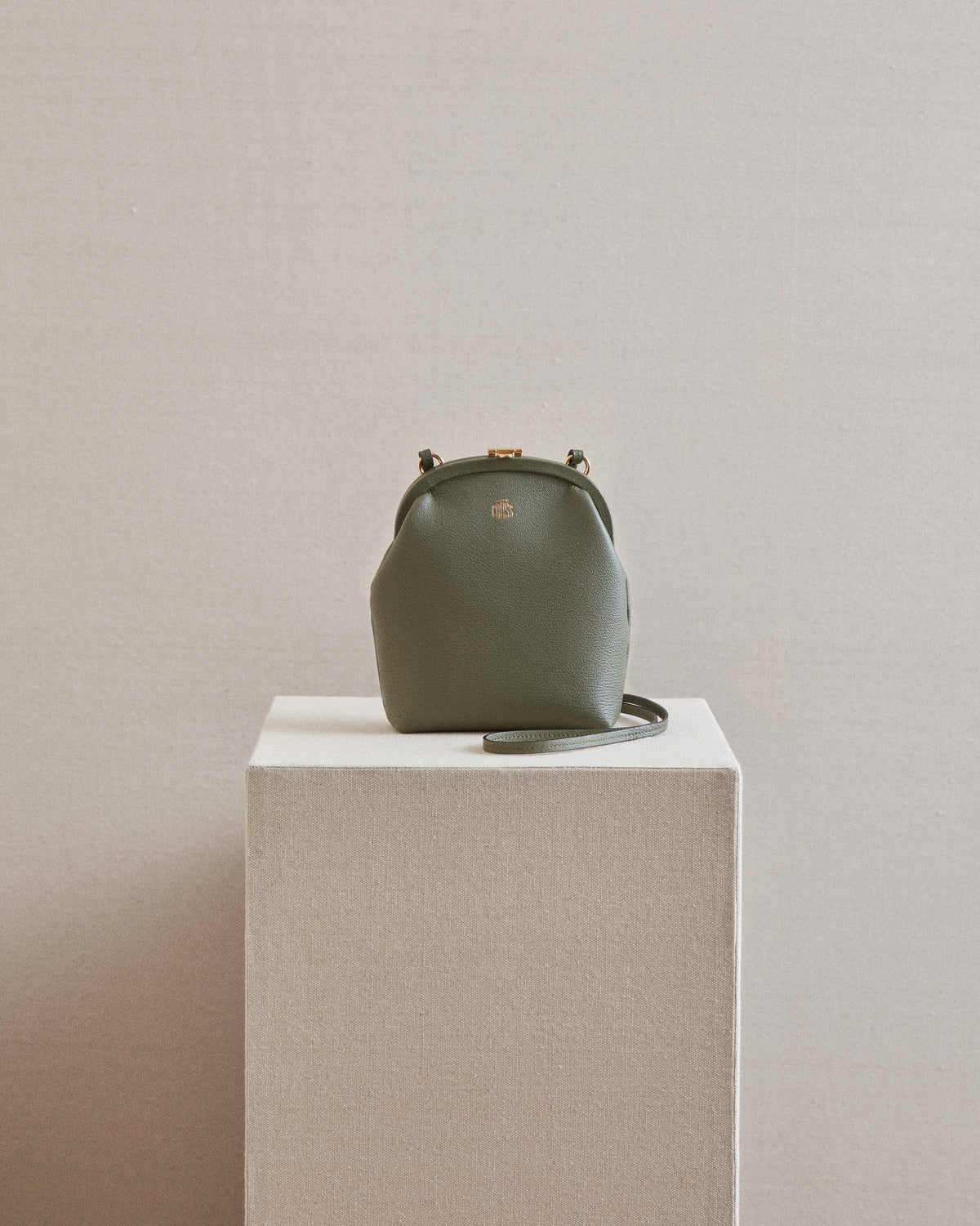 Frame Crossbody