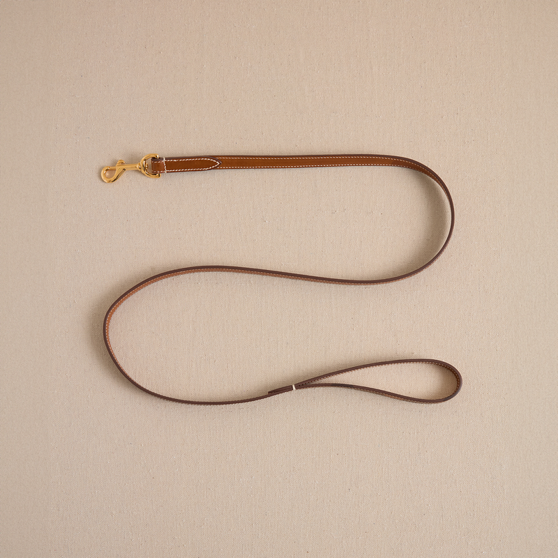Pet Leash 15 in Luggage