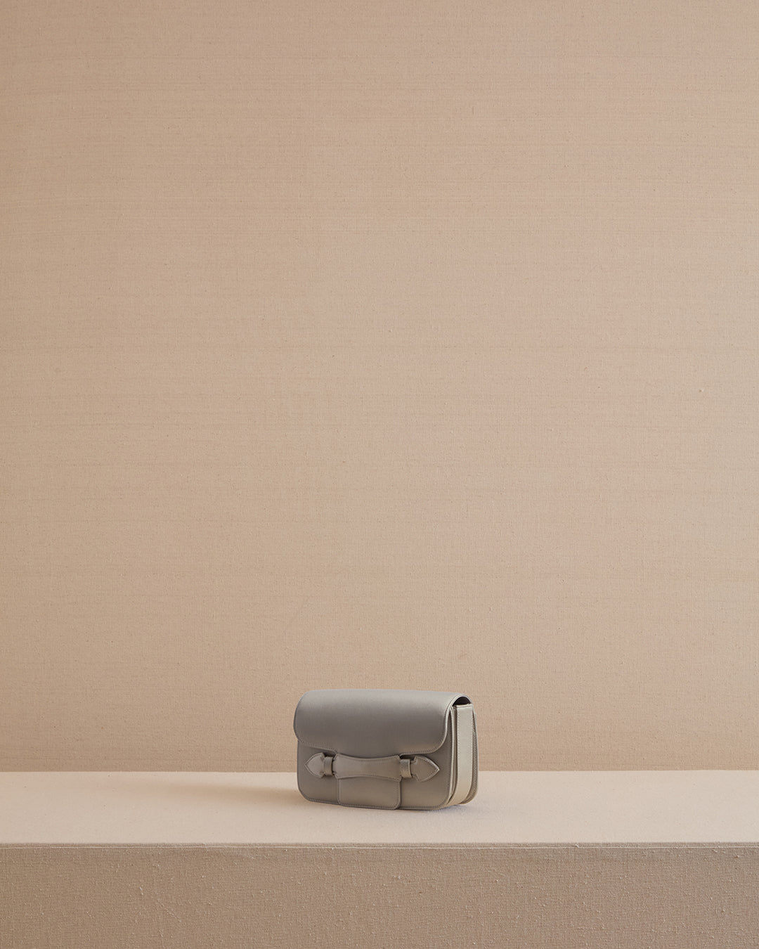 Romy Clutch in Platinum