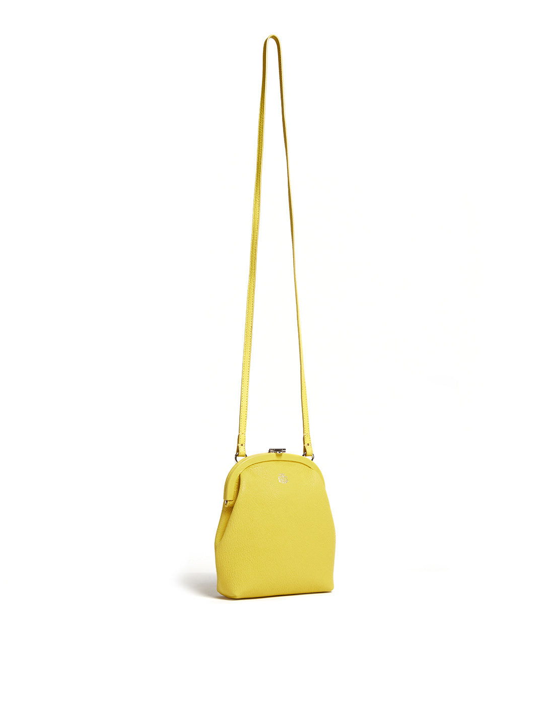 Frame Crossbody